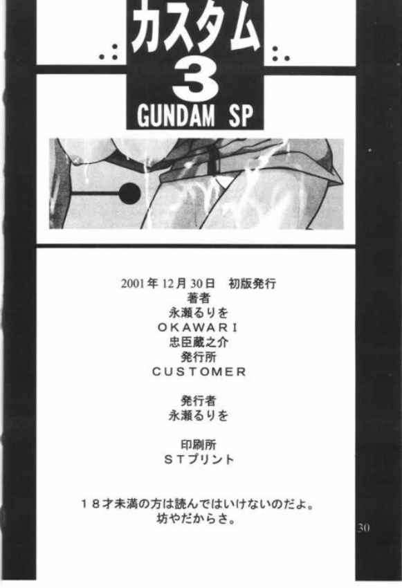 カスタム 3 GUNDAM SP 29ページ