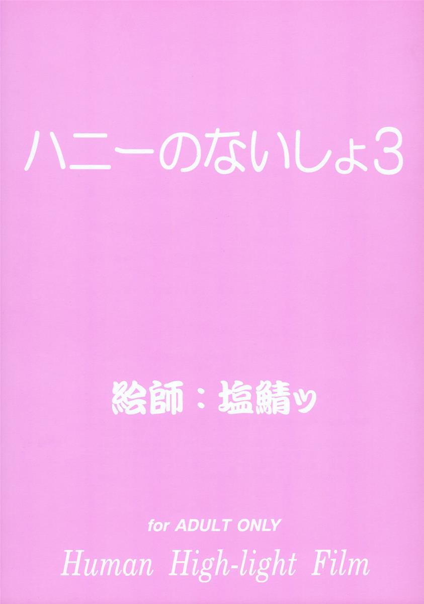 ハニーのないしょ3 2ページ