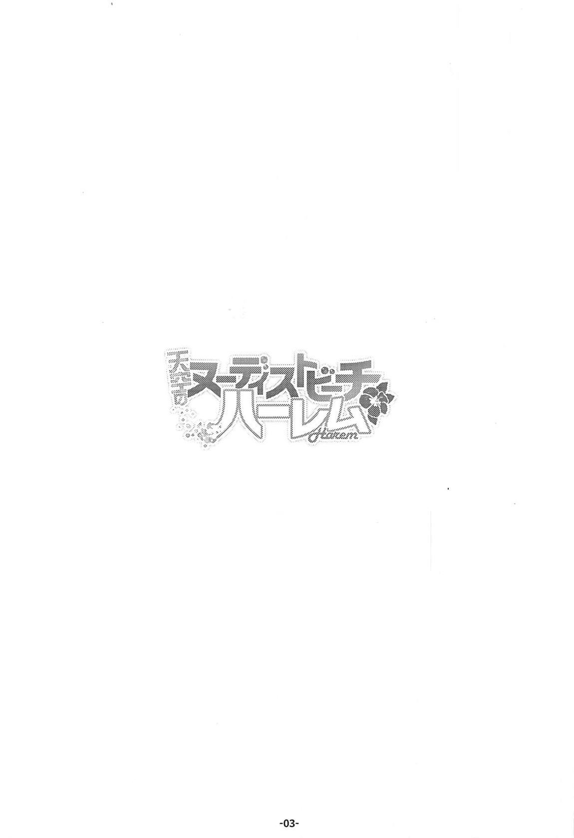 天空のヌーディストビーチハーレム 2ページ