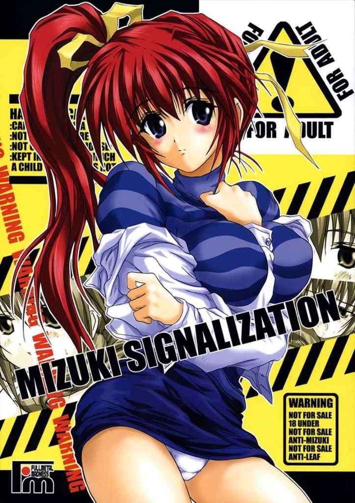 MIZUKI SIGNALIZATION 1ページ