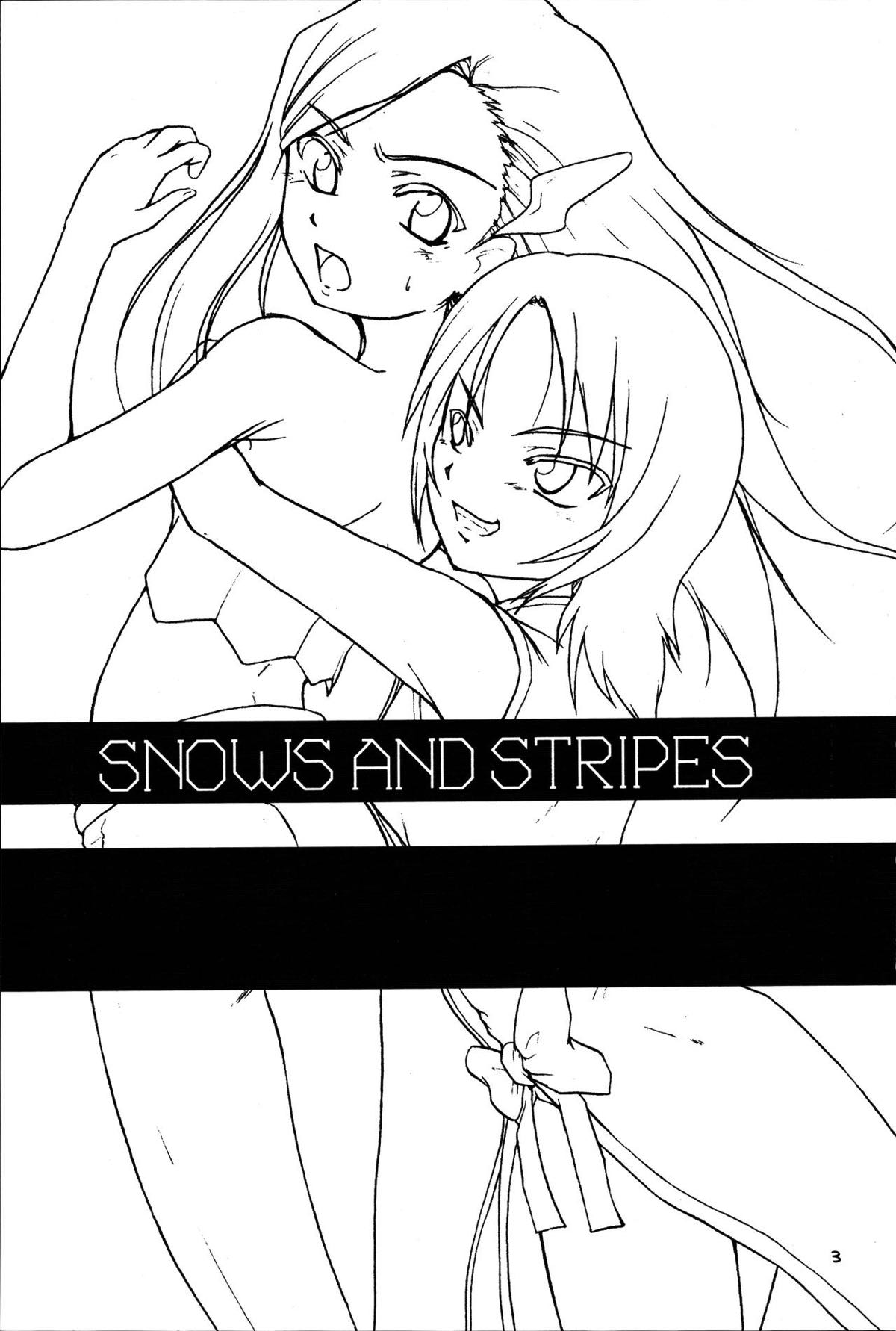 Snows and Stripes 2ページ