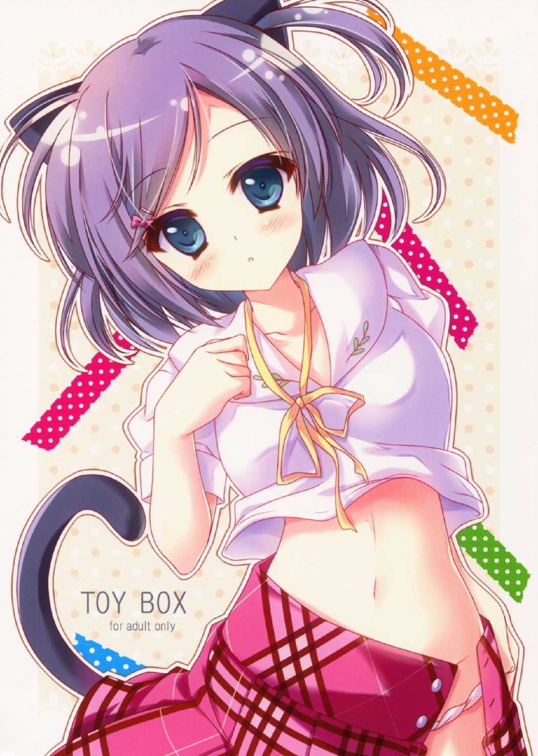 TOY BOX 1ページ