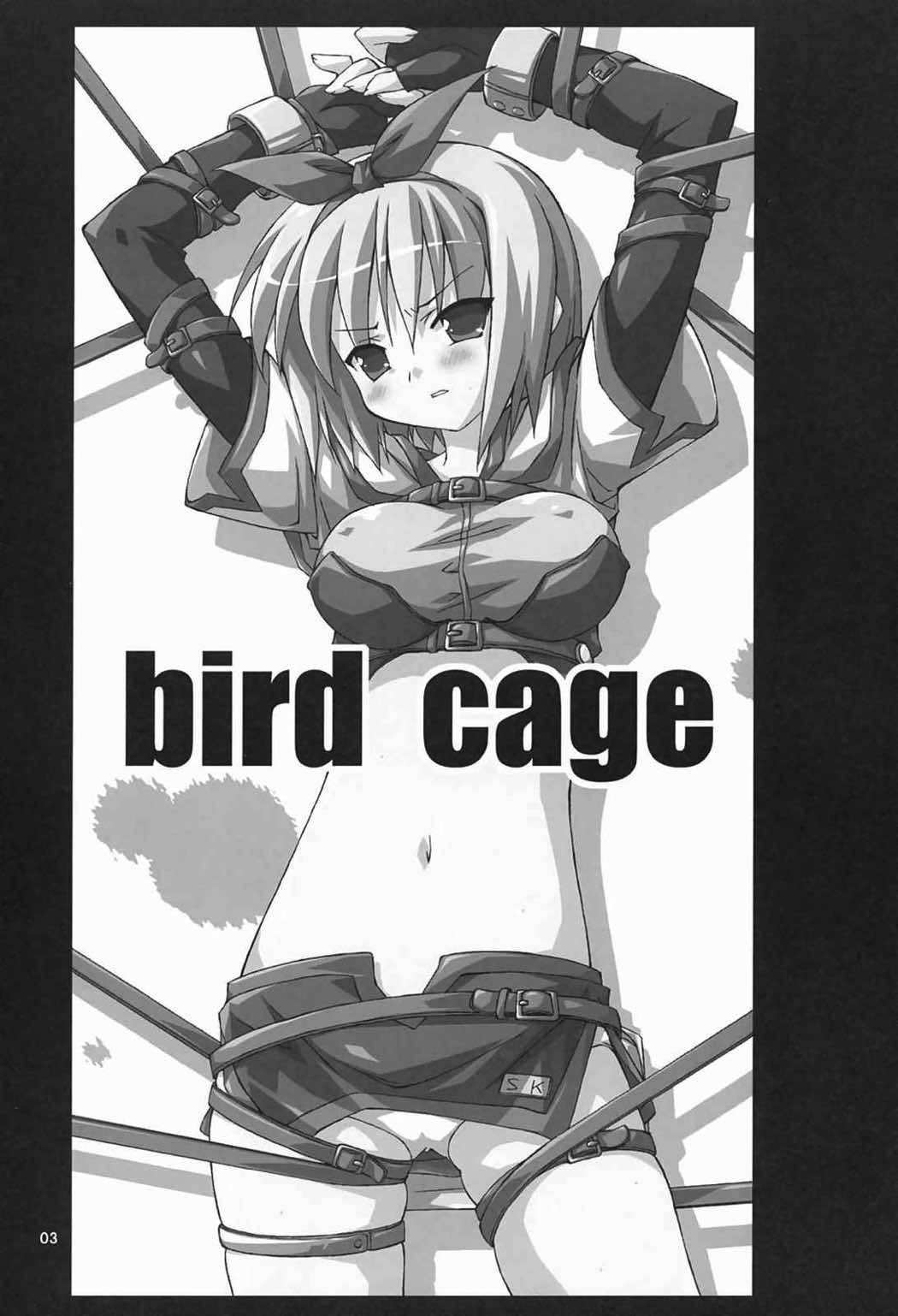 bird cage 2ページ