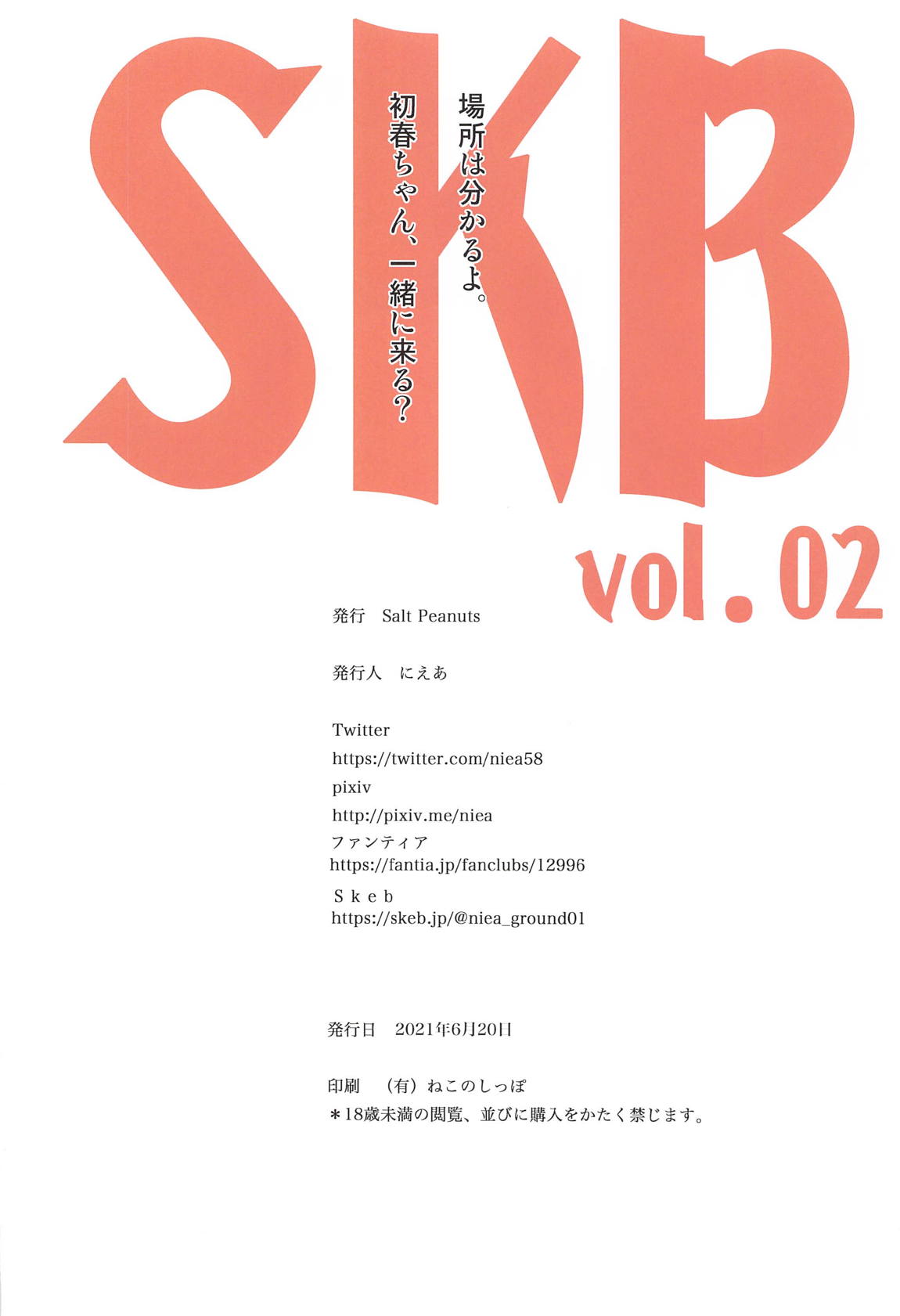 SKB vol.2 27ページ