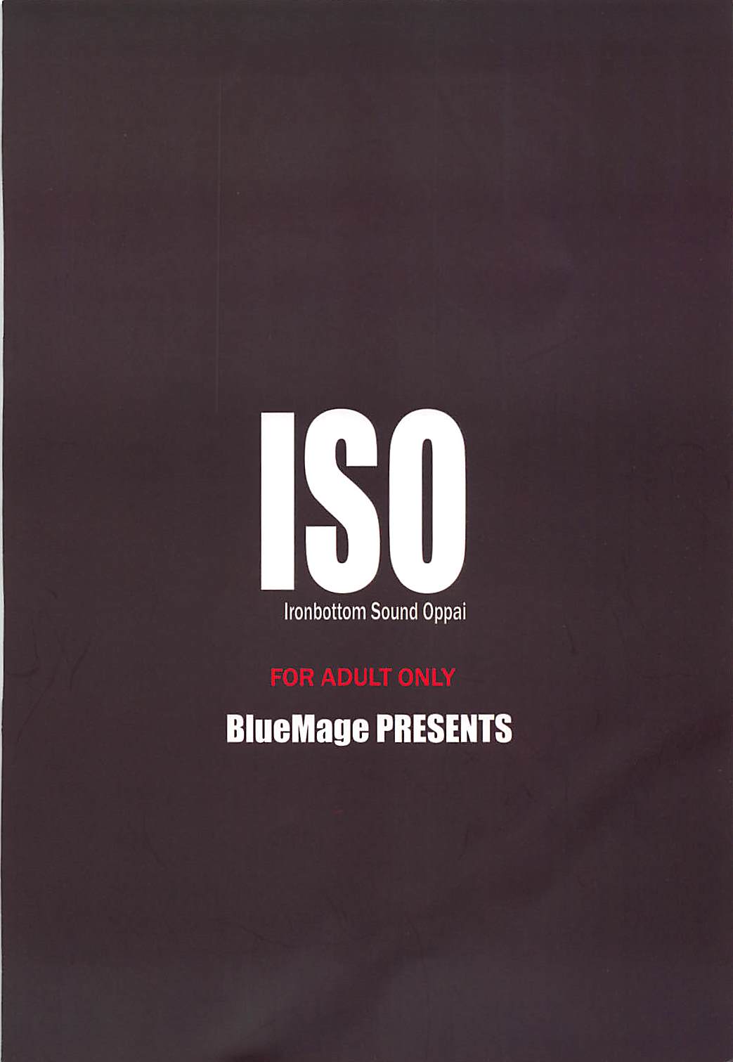 ISO 22ページ