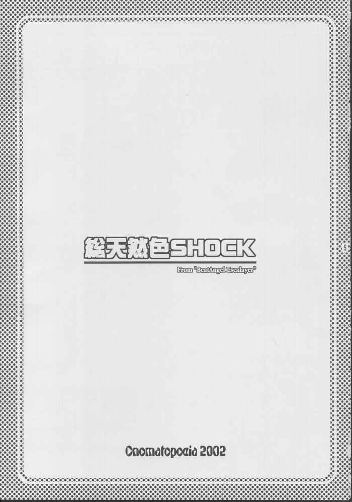 総天然色SHOCK 2ページ