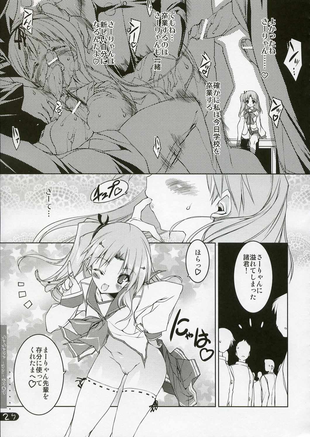ササラ式ドロップ 27ページ
