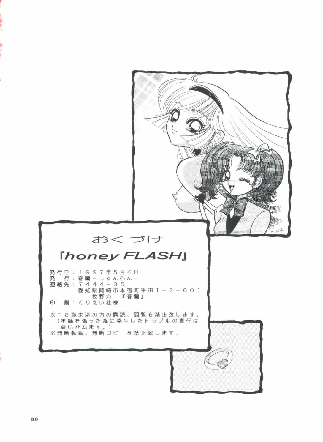 honey FLASH 29ページ