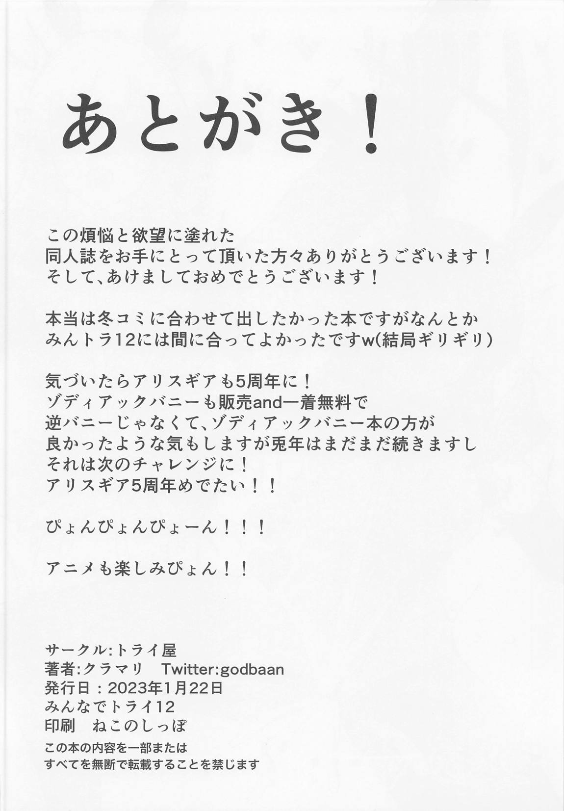 夢の中で逆バニートライステラとエッチする本(ファティマ様もいるよ) 17ページ