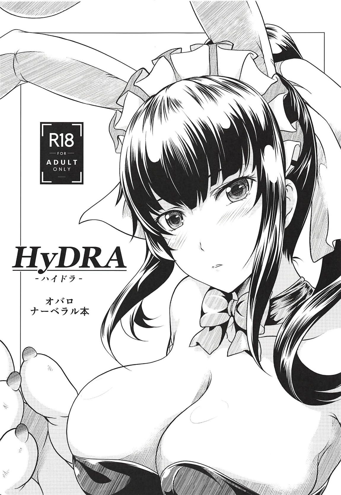 HyDRA 1ページ