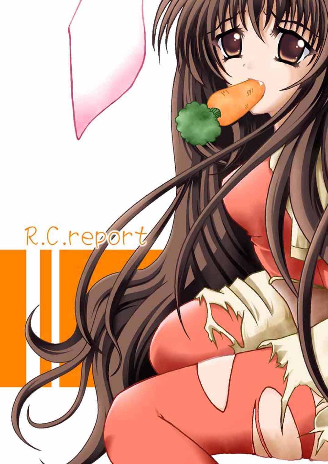 R.C.report 1ページ