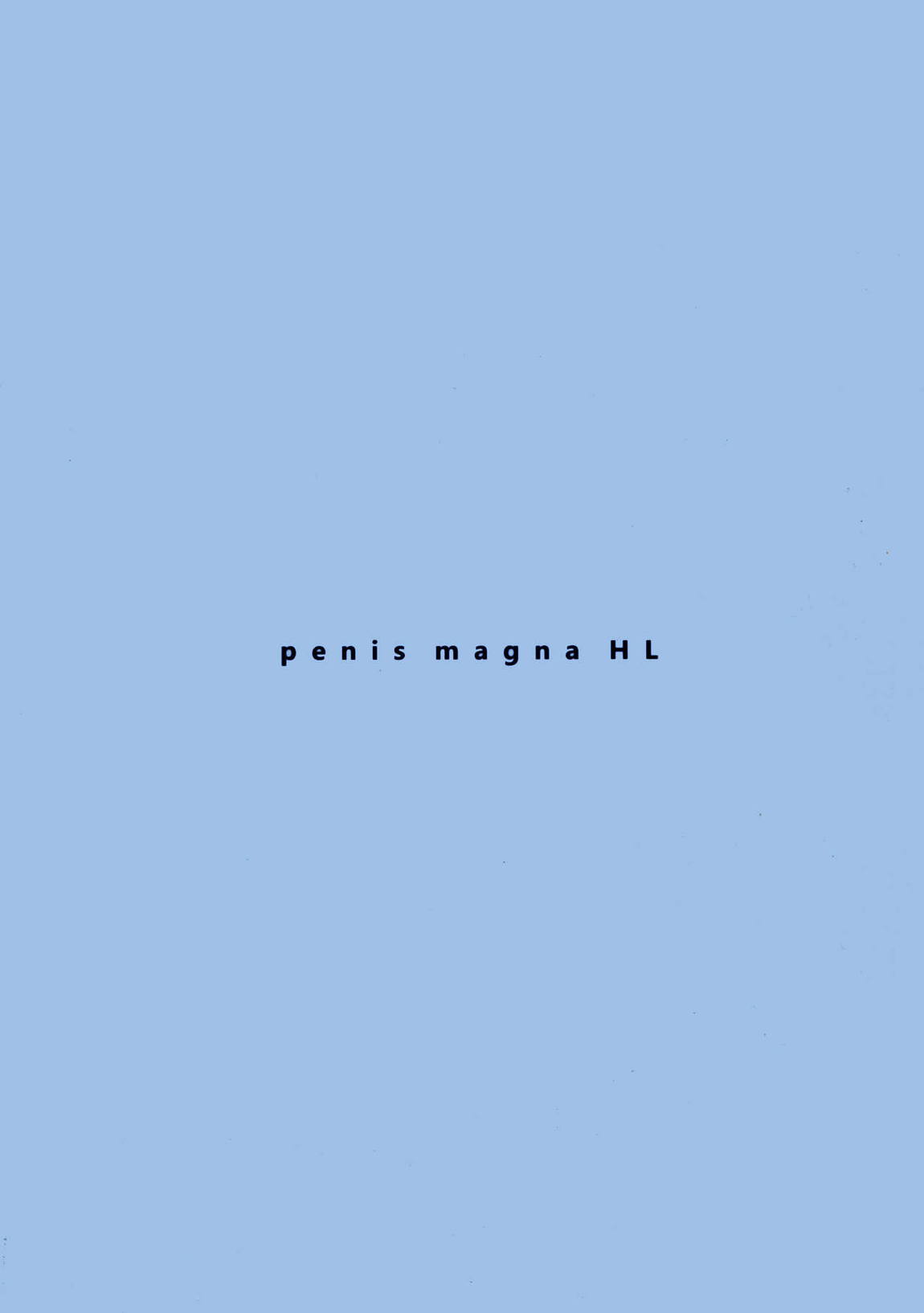 penis magna HL 2ページ