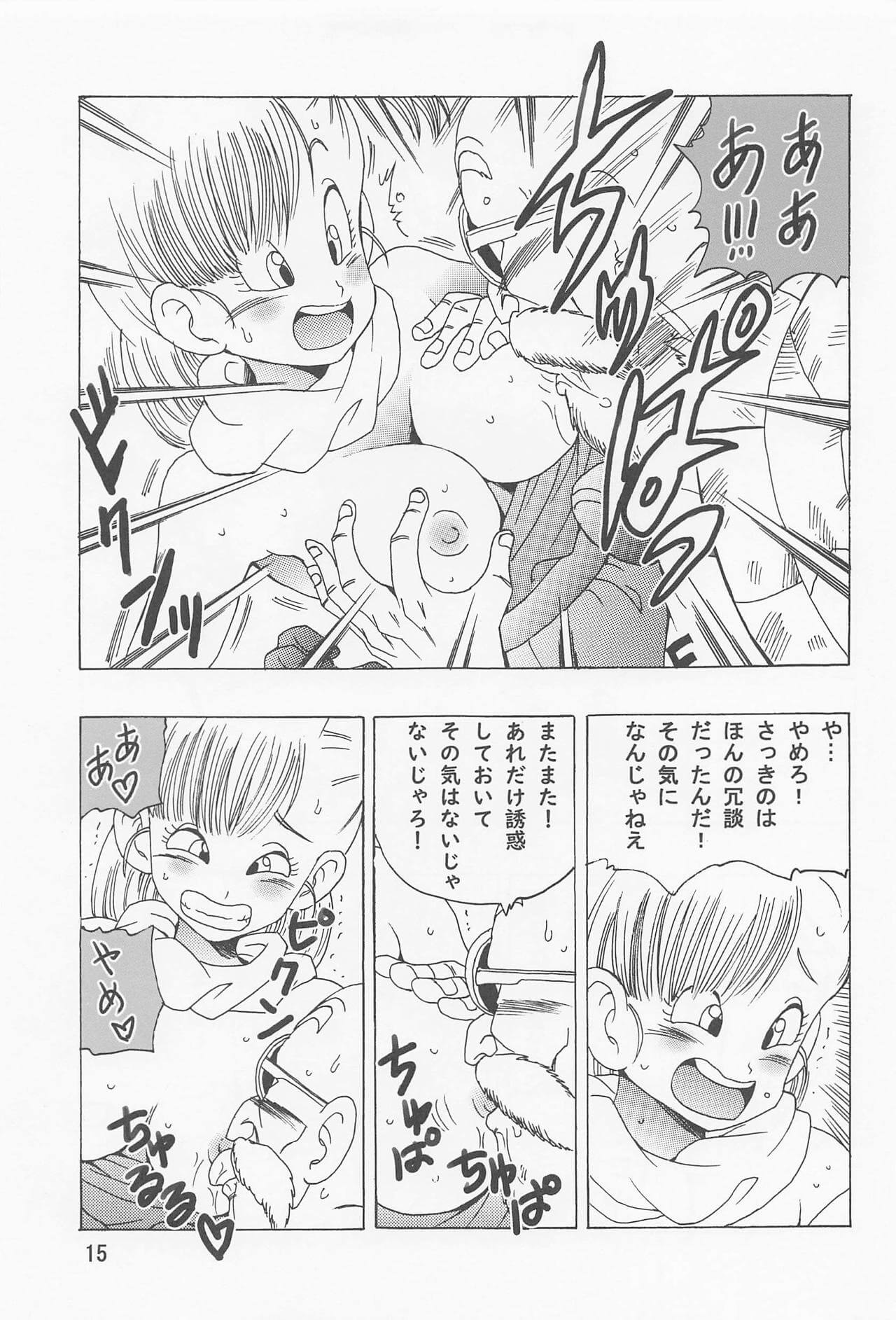 ブルマ本~神龍の伝説~ 16ページ