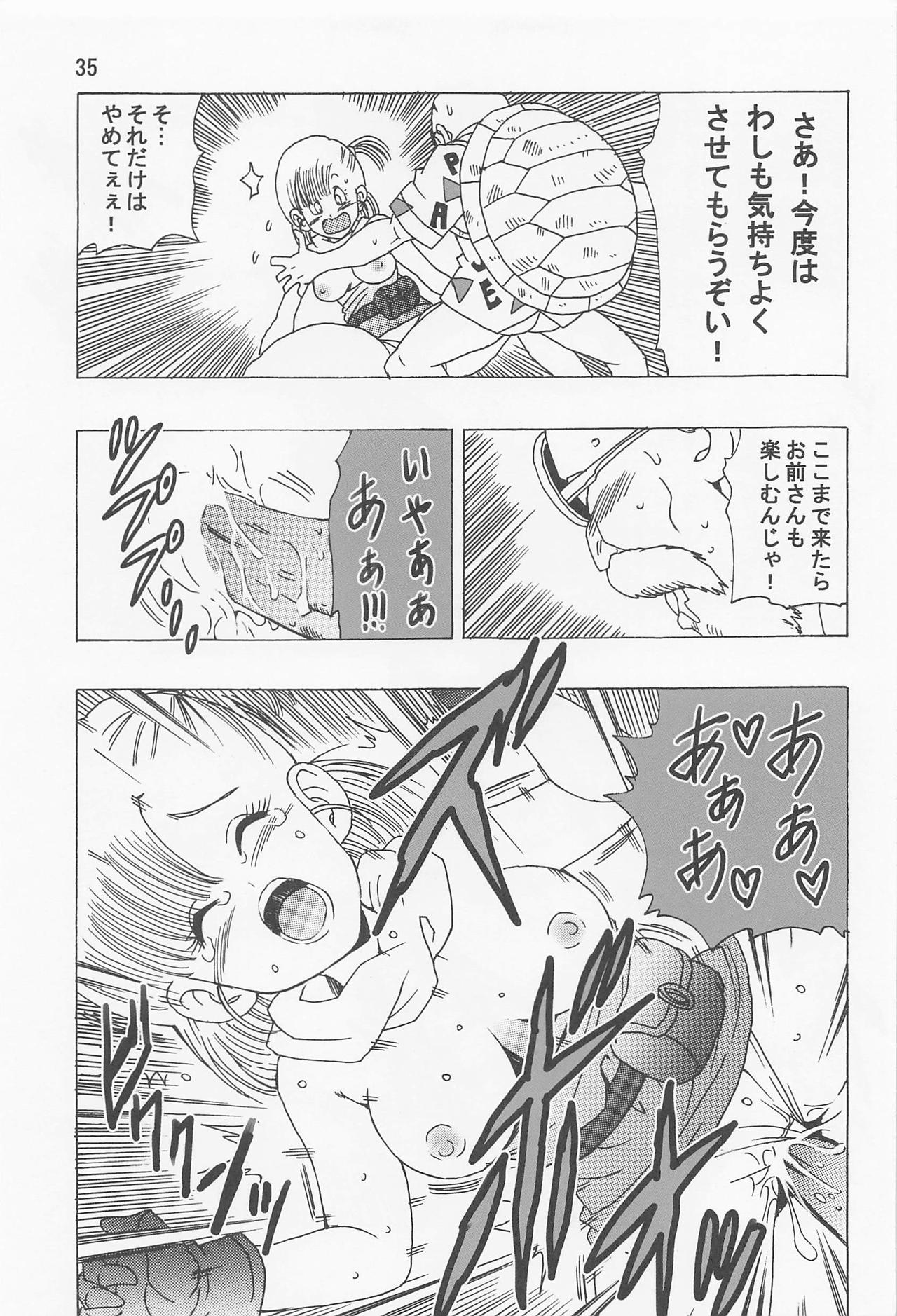 ブルマ本~神龍の伝説~ 36ページ