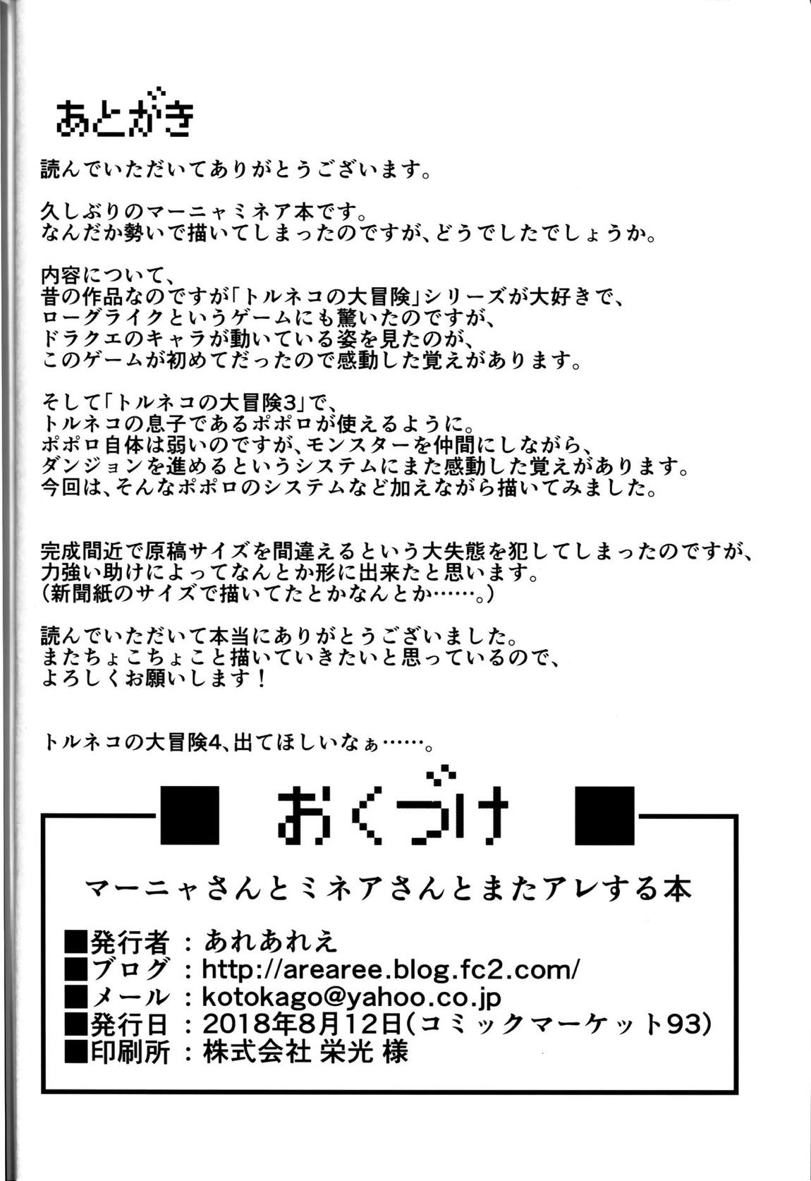 マーニャさんとミネアさんとまたアレする本 21ページ