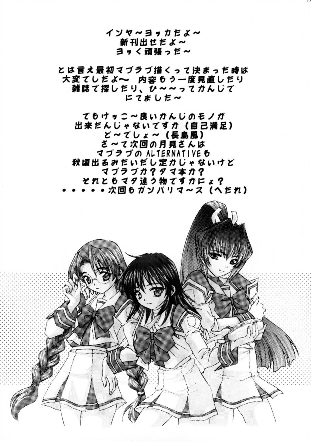 MUV-LUV 17ページ