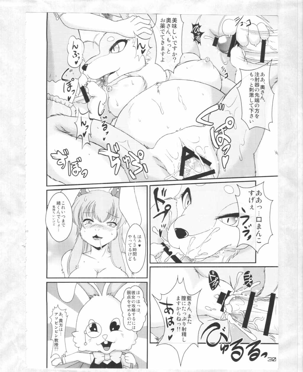 東方PLUMFUR4 29ページ