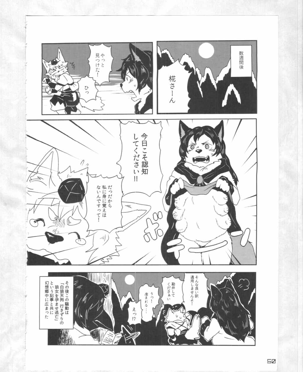 東方PLUMFUR4 49ページ