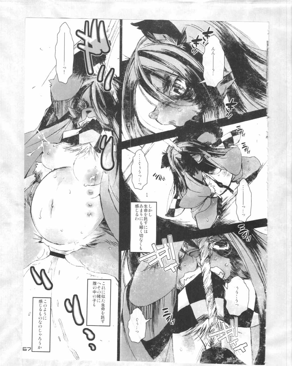 東方PLUMFUR4 66ページ