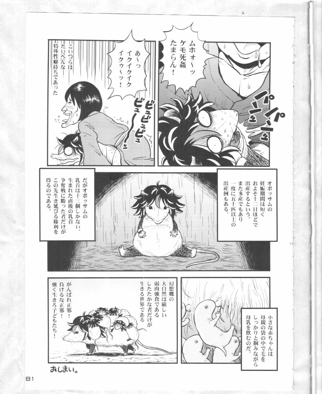 東方PLUMFUR4 80ページ