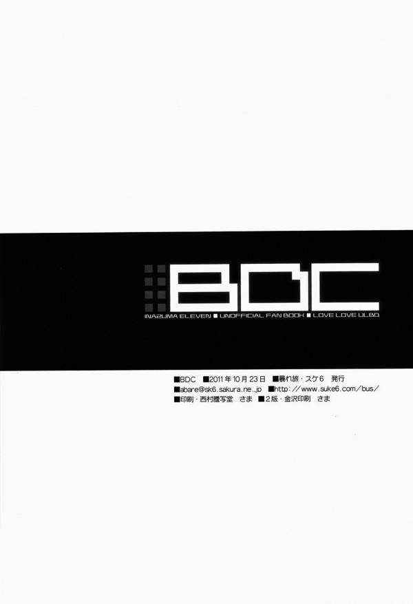 BDC 29ページ