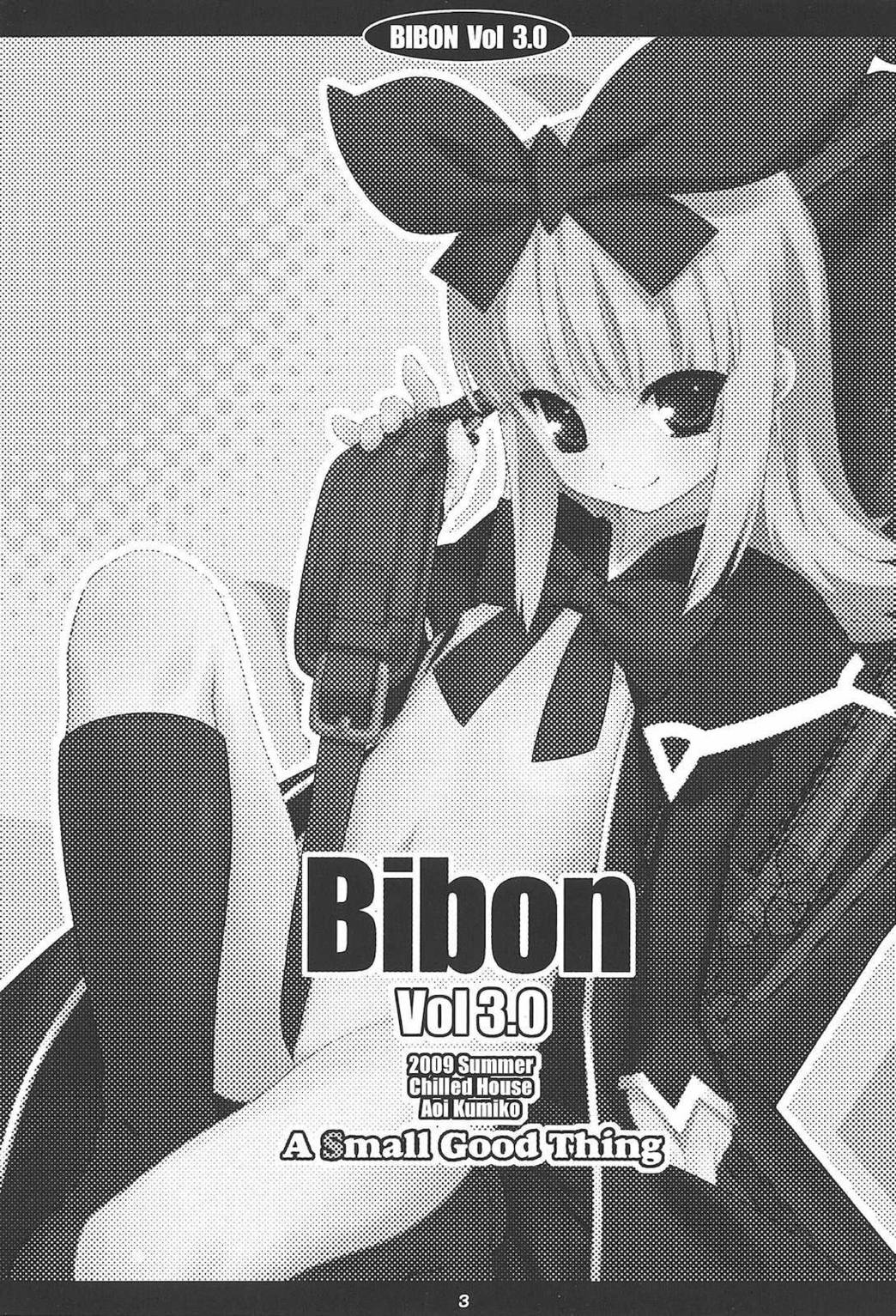 BIBON VOL 3.0 2ページ