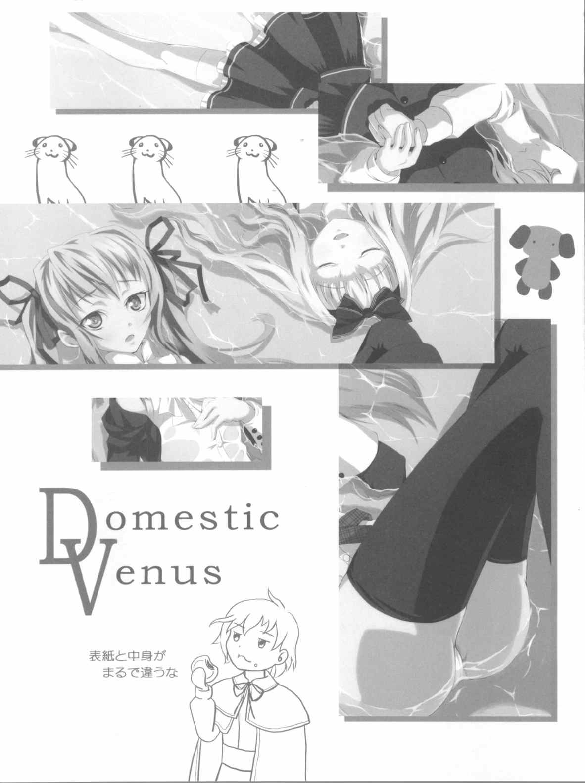 Domestic Venus 3ページ
