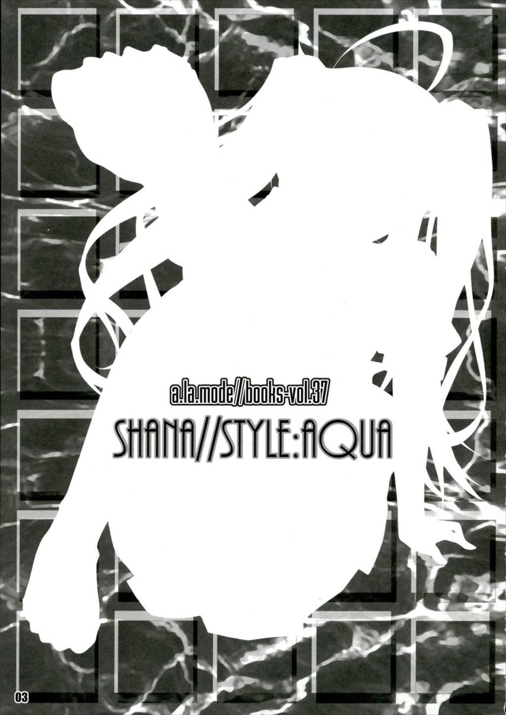 SHANASTYLEAQUA 2ページ