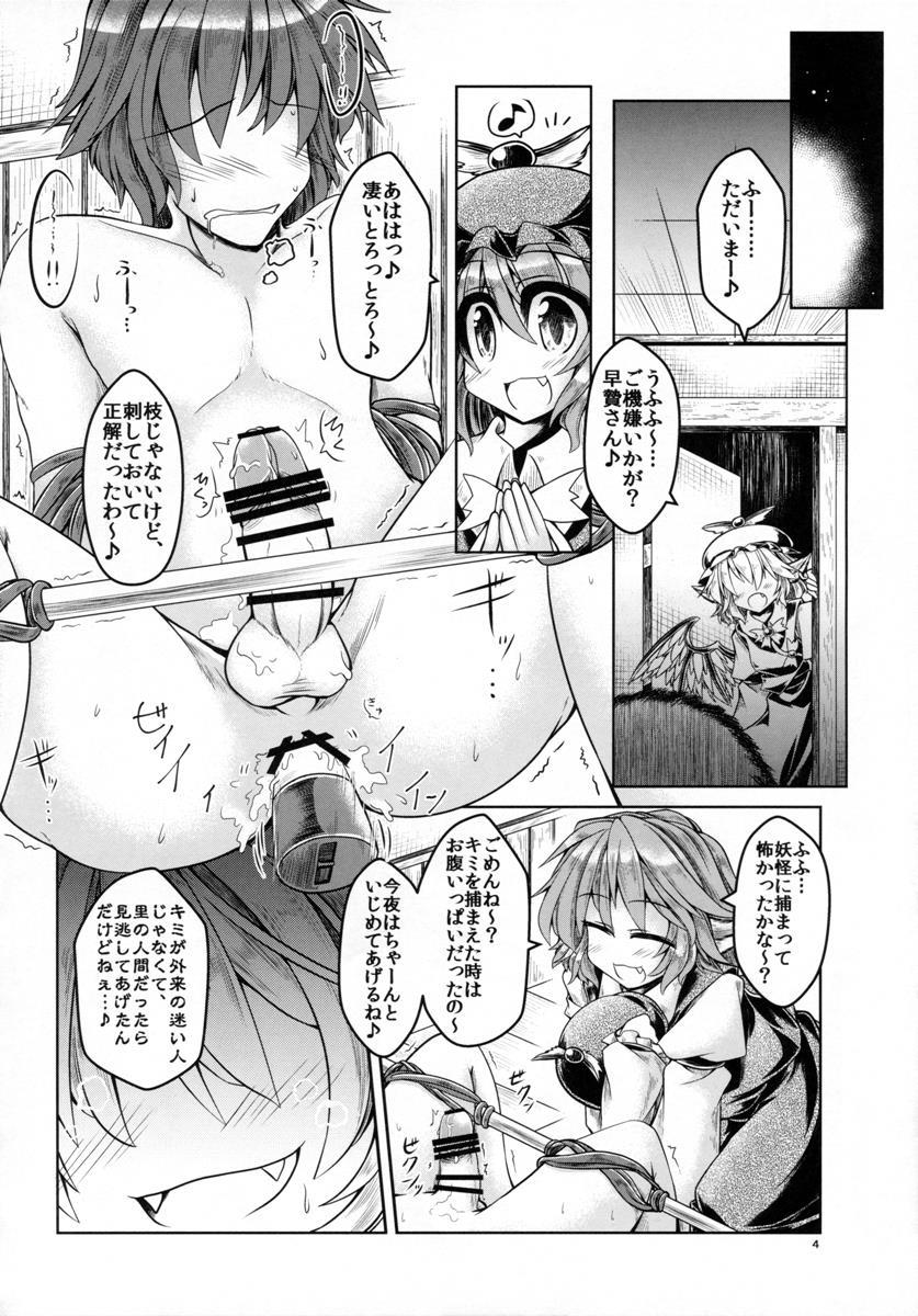 種付けお姉さんと愉快な前立腺 5ページ