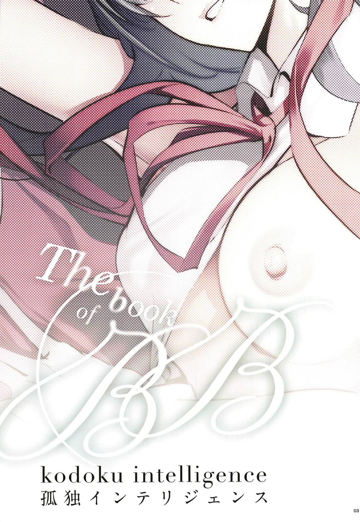 the book of BB 3ページ