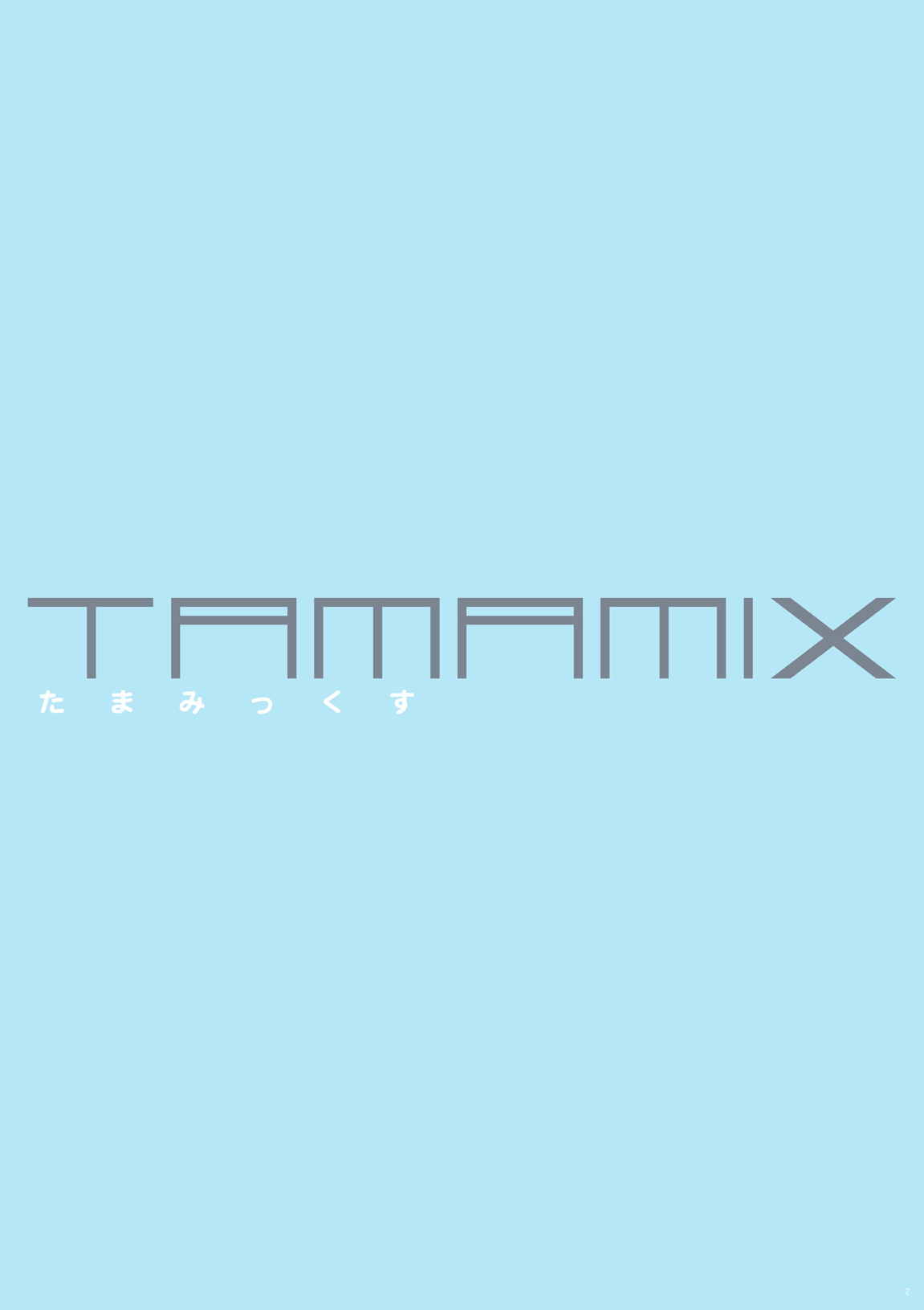 TAMAMIX 2ページ