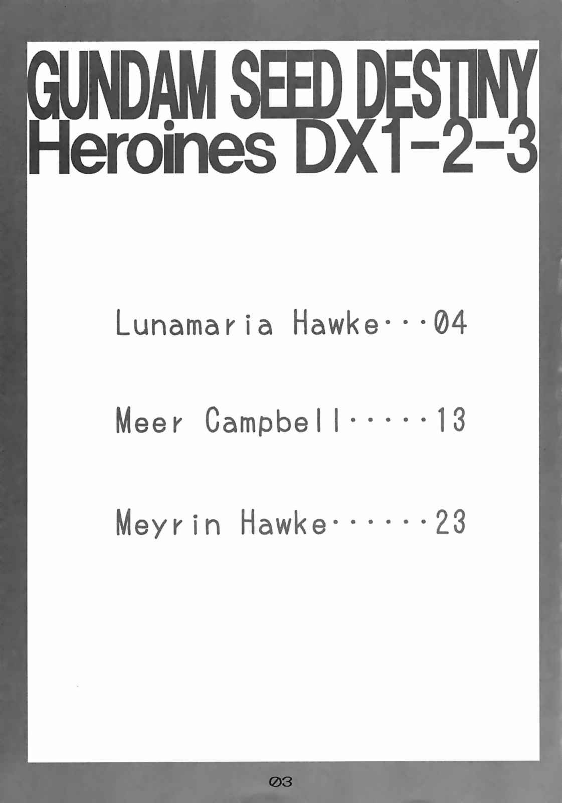 GUNDAM SEED DESTINY Heroines DX1-2- 3 2ページ