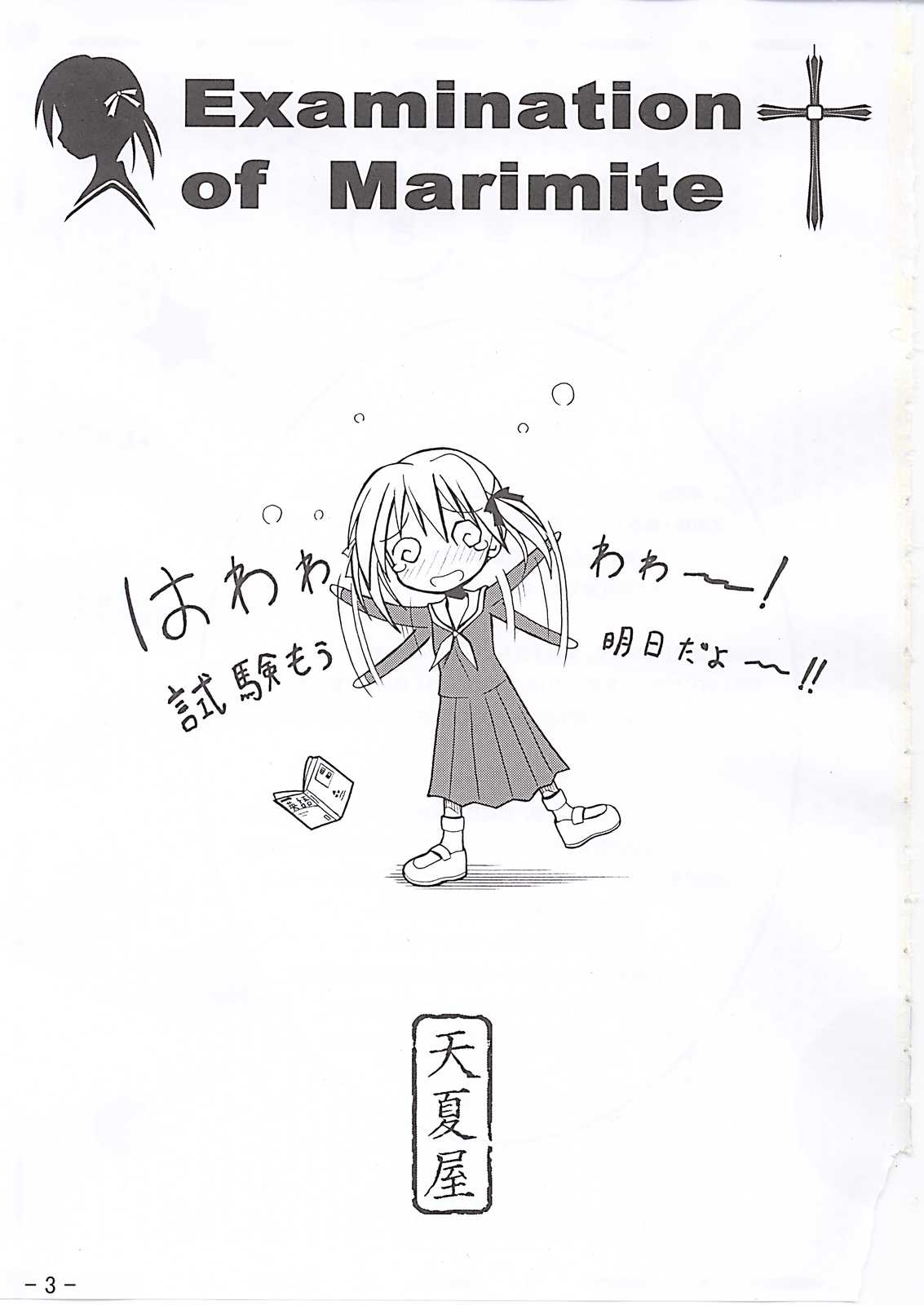 Examination of Marimite 2ページ