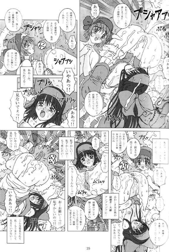 JUNK 〜淫縛乃巫女〜 24ページ