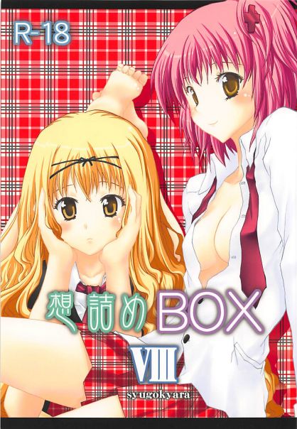 想詰めBOX VIII