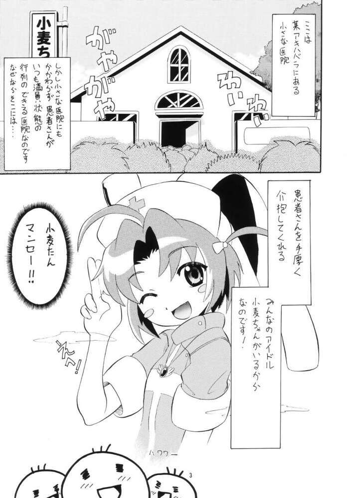 小麦たんクリニック 2ページ