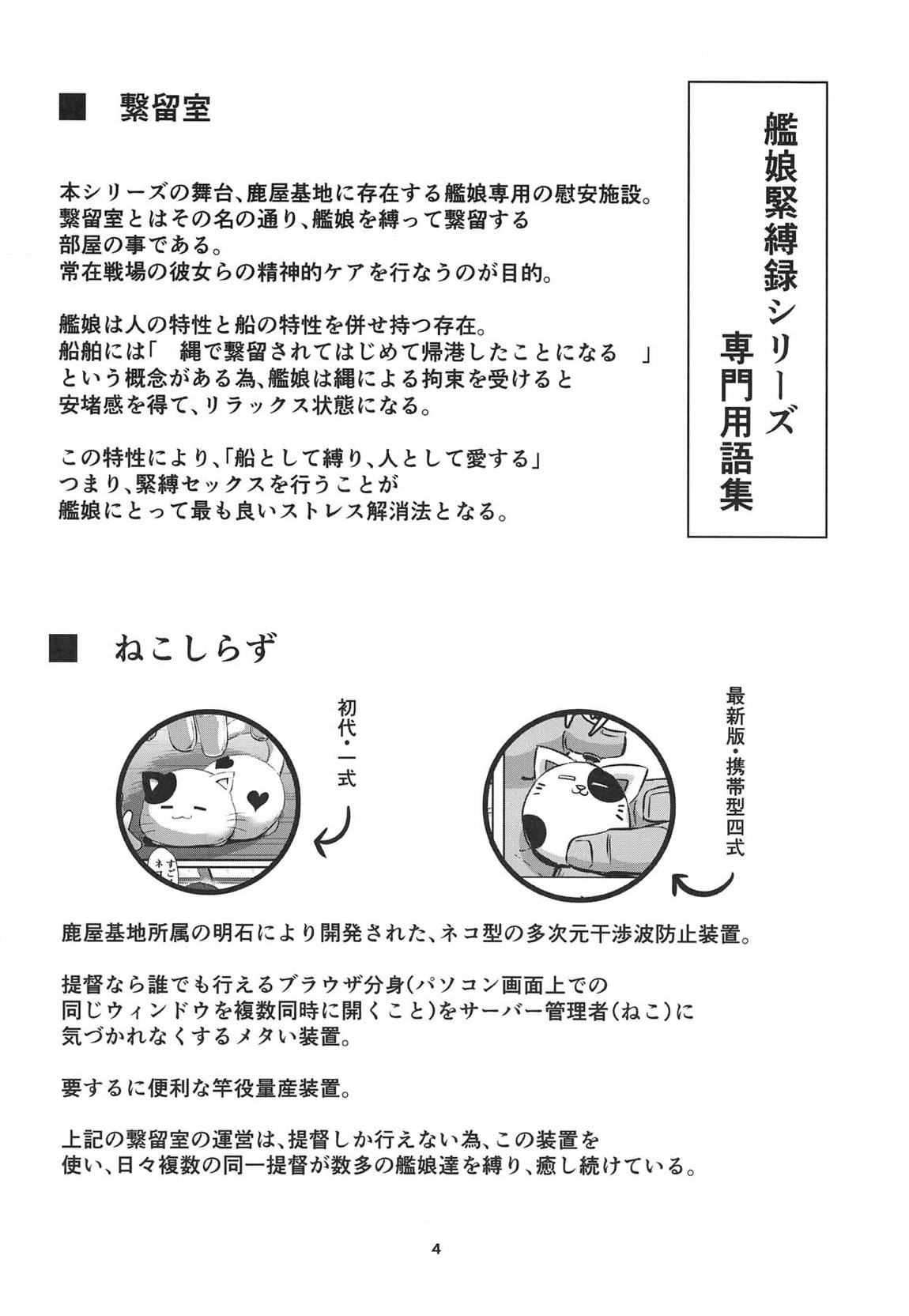 艦娘緊縛録～天龍・摩耶・最上編～ 3ページ