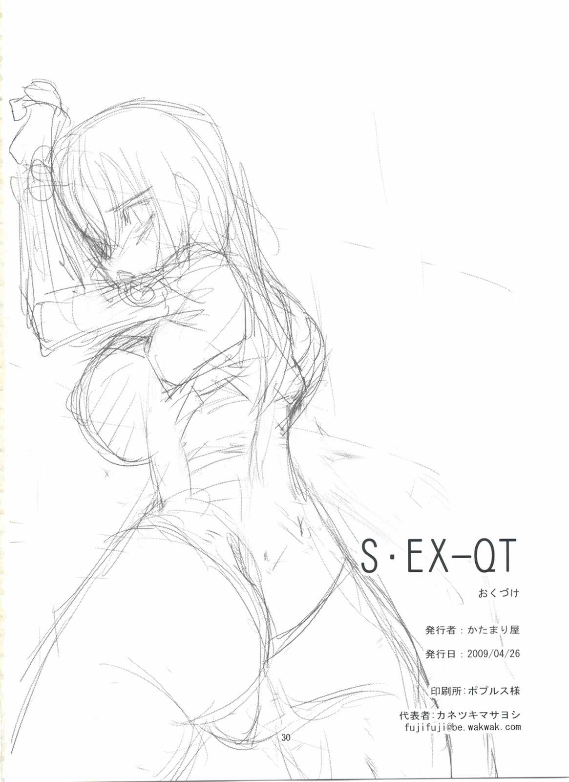 S・EX-QT 29ページ