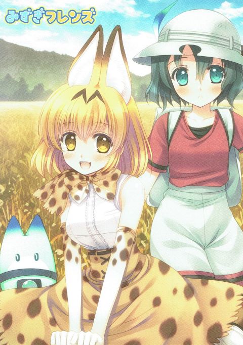 みずぎフレンズ