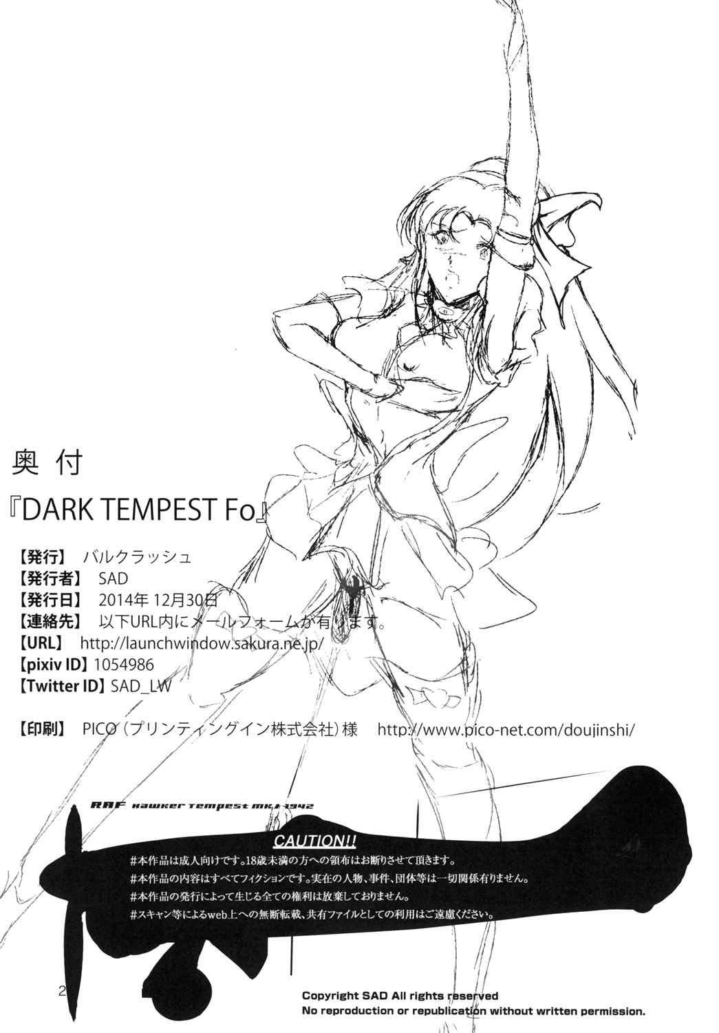 DARK TEMPEST Fo 25ページ