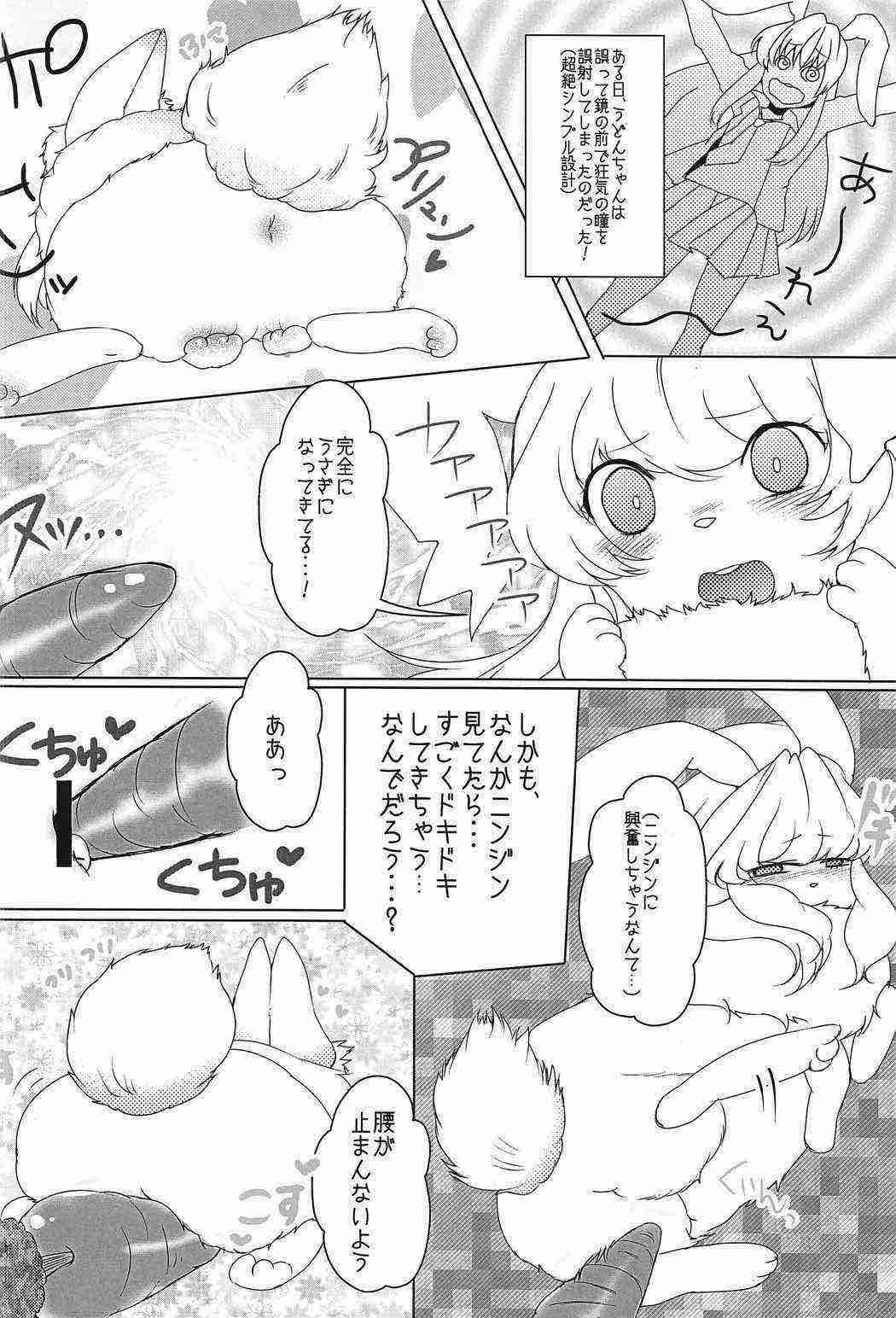 東方PLUMFUR2 39ページ