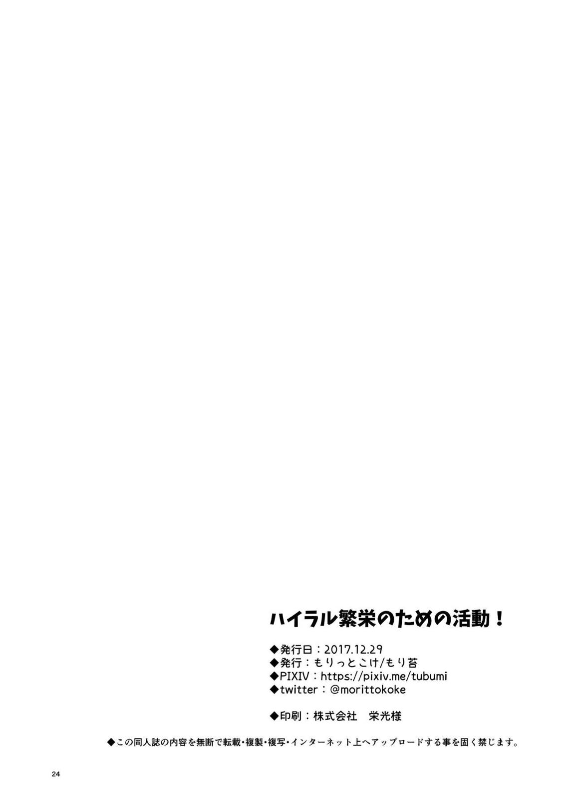 ハイラル繁栄のためのかつどう! 25ページ