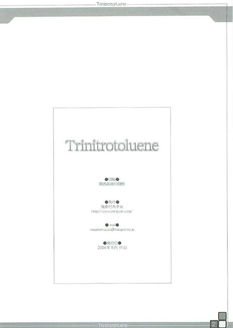 Trinitrotoluene 22ページ