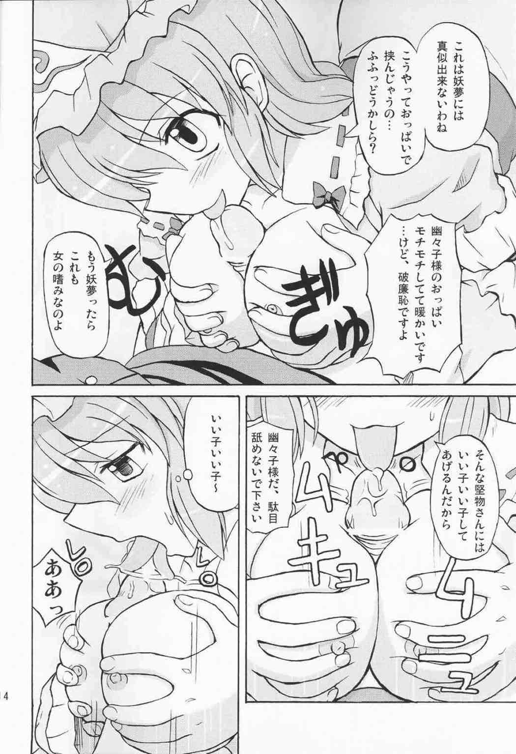 東方妖女乱舞３ 13ページ