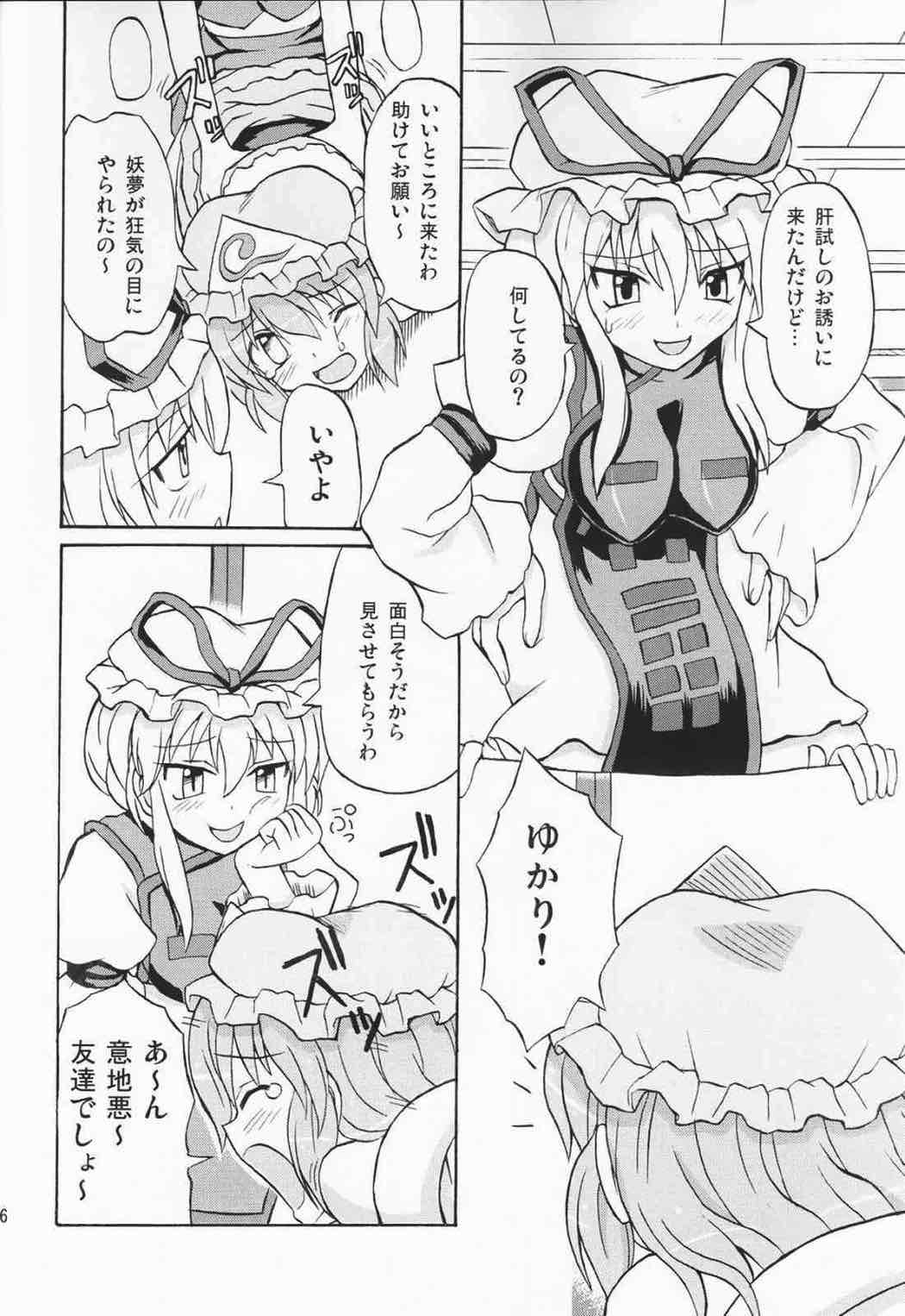 東方妖女乱舞３ 25ページ