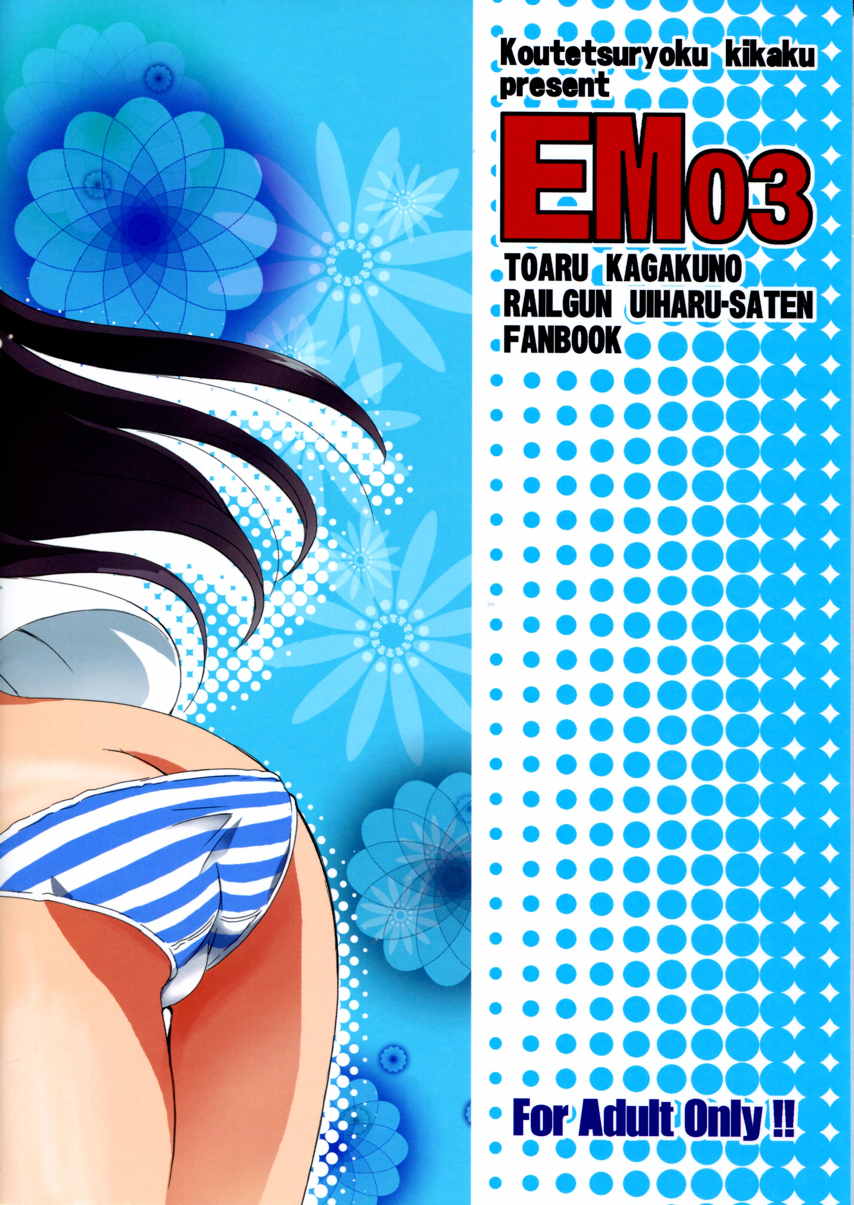 EM 03 2ページ