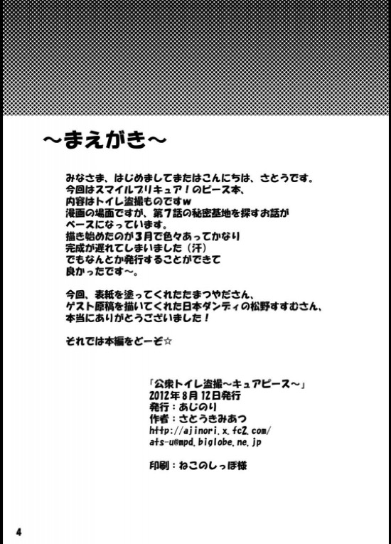 公衆トイレ盗撮 〜キュアピース〜 3ページ