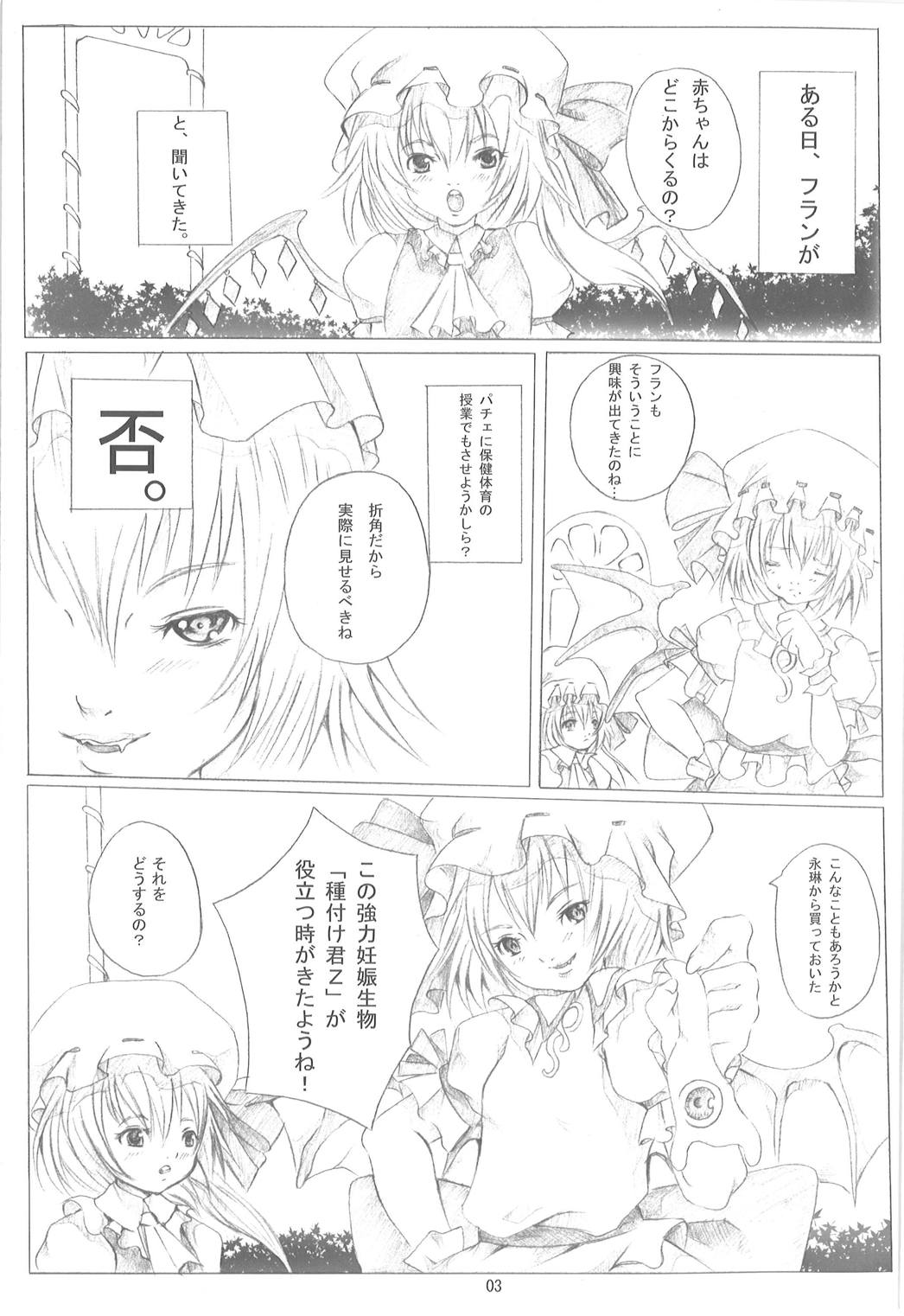 東方保健体育 2ページ