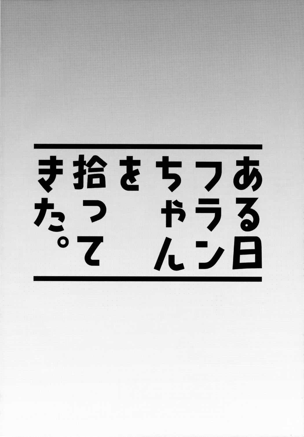 ある日フランちゃんを拾ってきた。 3ページ