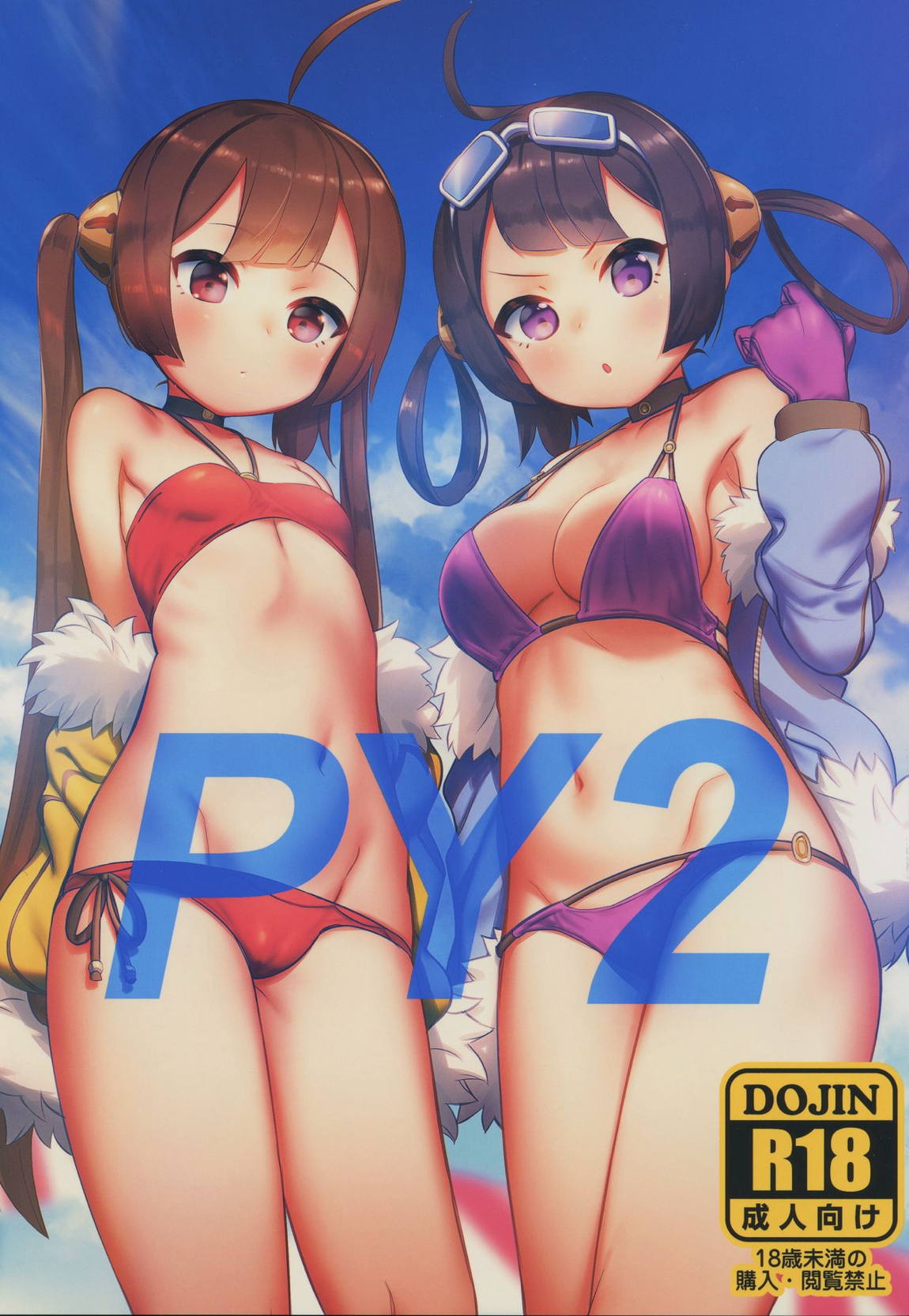 PY2 1ページ